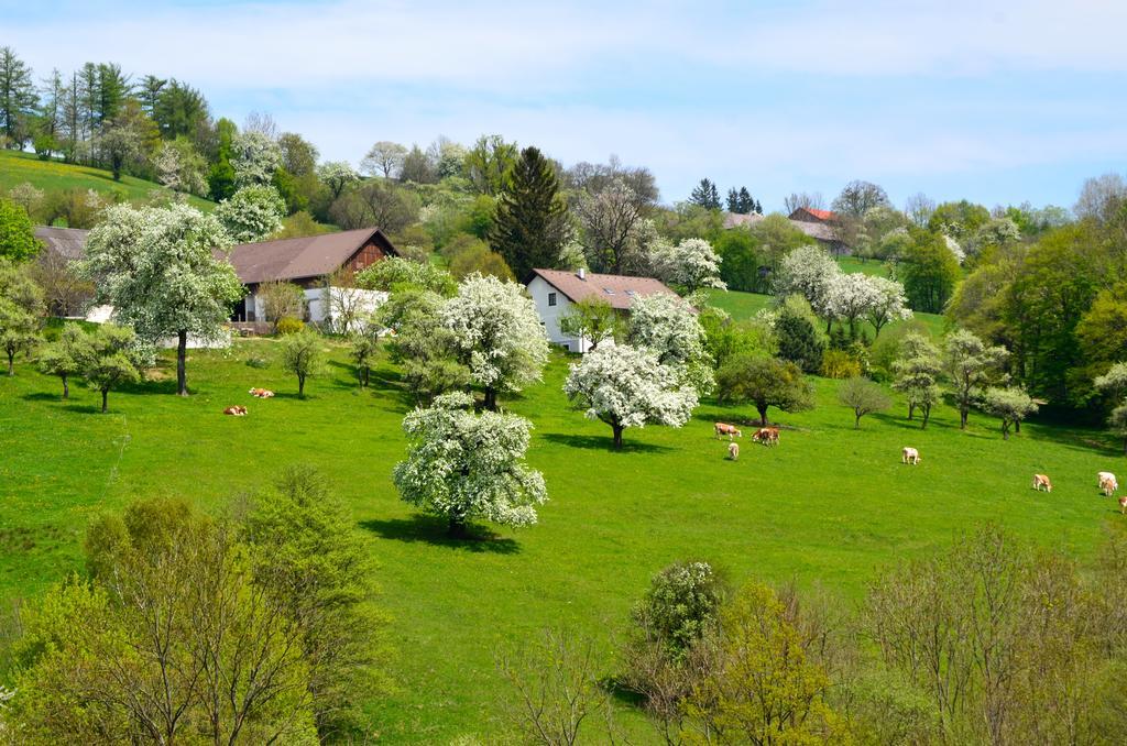 Ferienwohnung Vonwald Michelbach Exterior foto